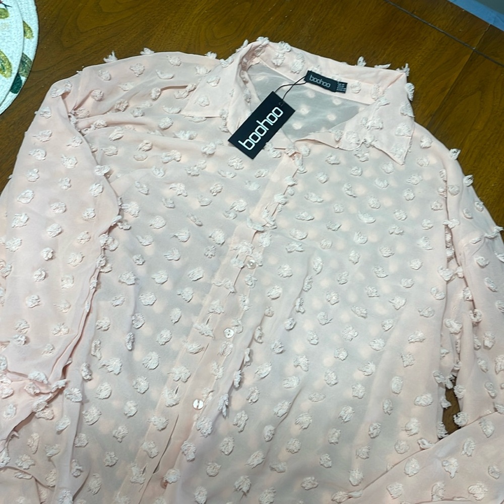 Pink sheer blouse